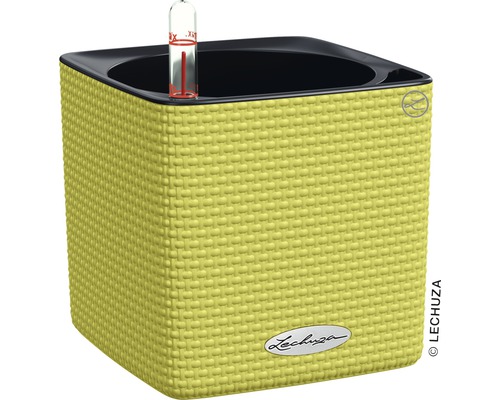 Bac à plantes Lechuza carré avec système d''irrigation