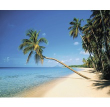 Plage avec des palmiers et ciel bleu