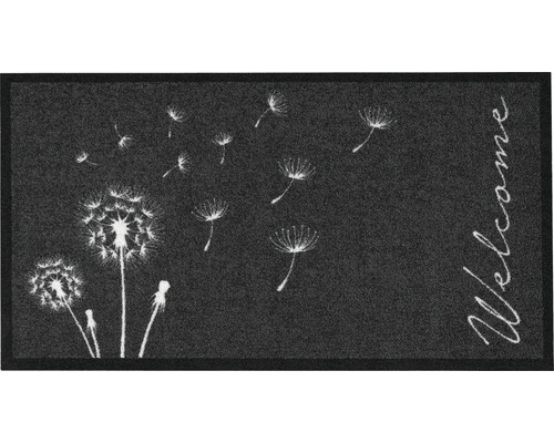Paillasson Création Delion anthracite 66x120 cm