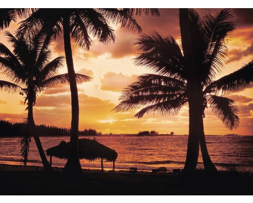 Papier peint panoramique intissé 18305 Palm Beach at Dusk 7 pces 350 x 260 cm Coucher de soleil sur la plage avec des palmiers et une cabane de plage.