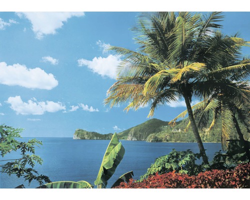 Papier peint panoramique intissé 18308 St. Lucia 7 pces 350 x 260 cm