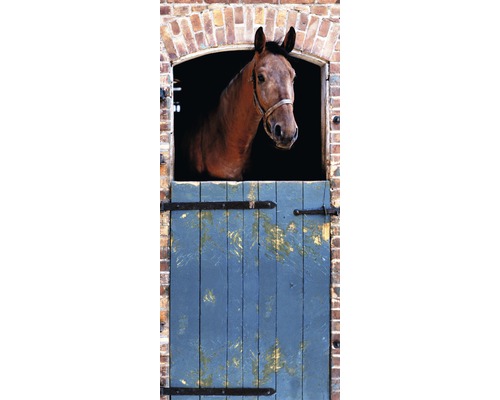 Papier peint panoramique intissé 19508 papier peint de porte Horse 2 pces 90 x 200 cm