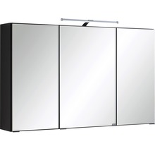 Spiegelschrank Held Möbel 100 x 20 x 66 cm dunkelgrau 3-türig 005