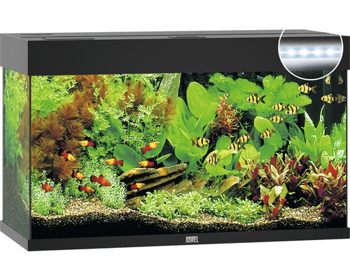 Juwel aquarium rio 240 L LED noir - JMT Alimentation Animale