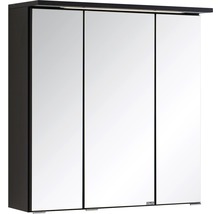 Spiegelschrank Held Möbel 60 x 20 x 66 cm dunkelgrau 3-türig 009