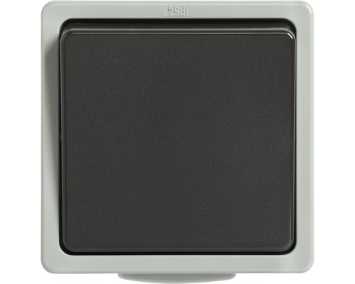 Interrupteur/inverseur IP54 pour pièce humide pose en saillie gris clair/gris foncé Standard IP 54