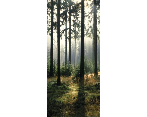 Papier peint panoramique intissé 19599 papier peint de porte Forest 2 pces 90 x 200 cm