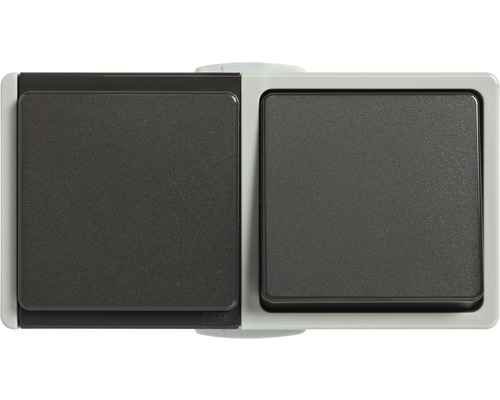 Combinaison prise/interrupteur-inverseur IP54 pour pièce humide pose en saillie horizontale gris clair/gris foncé Standard IP 54
