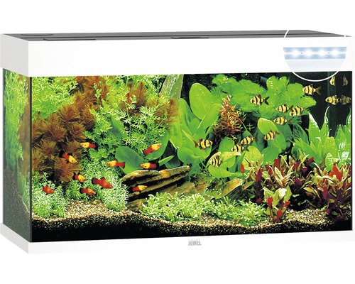 Aquarium Juwel Rio 125 LED sans meuble bas blanc