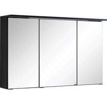 Spiegelschrank Held Möbel 100 x 20 x 66 cm dunkelgrau 3-türig 013