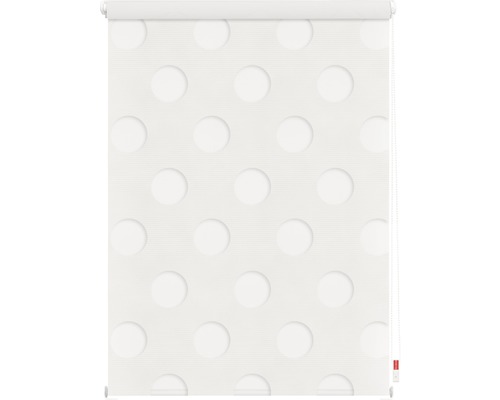 Rollo mit Punktmuster für Fenster