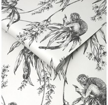 Papier peint intissé 106157 Saimiri singe gris