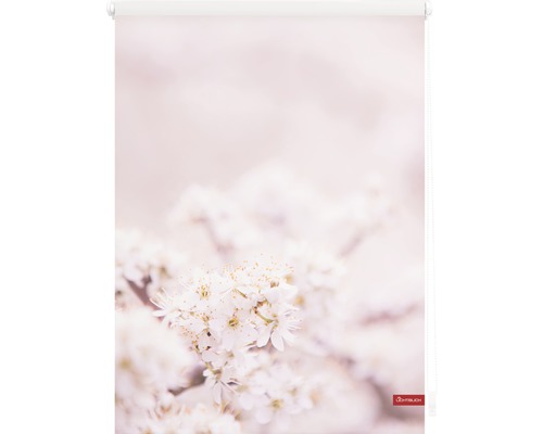 Store enrouleur avec motif floral pour la décoration de fenêtre