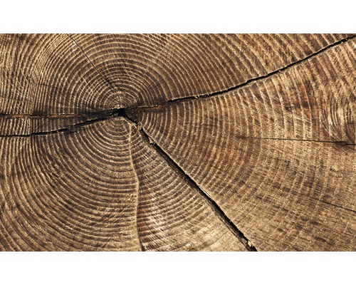 Gros plan d''une bûche avec des cernes annuels et des fissures