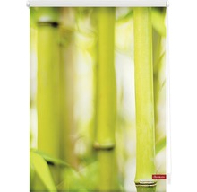Store enrouleur avec motif de bambou pour fenêtres