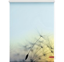 Store à clipser Lichtblick sans vissage fleur à souffler 45x150 cm, supports de serrage compris