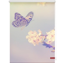 Klemmrollo Lichtblick ohne Bohren Schmetterling 60x150 cm inkl. Klemmträger