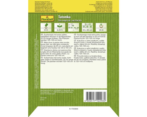 Semences de maïs doux Tatonka de FloraSelf