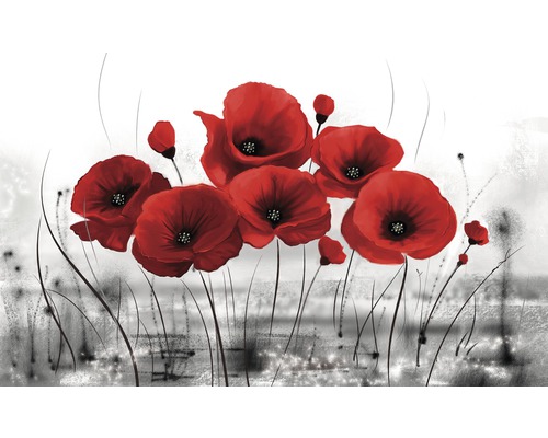 Illustration de coquelicots rouges sur fond clair