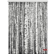 Rollo mit Birkenwald Motiv
