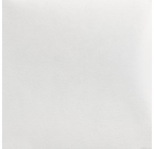 Texture de plafond tendu blanche