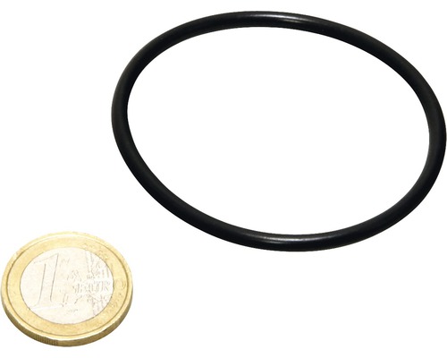 O-Ring mit Ein-Euro-Münze