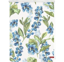 Store enrouleur à motif de myrtilles pour la décoration de fenêtre