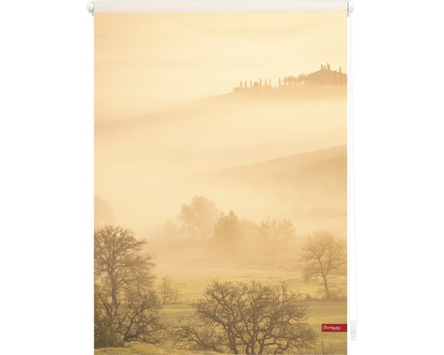 Store enrouleur avec motif de paysage