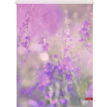 Klemmrollo Lichtblick ohne Bohren Blumenwiese 120x150 cm inkl. Klemmträger