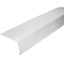 Profilé de bord de toit en métal