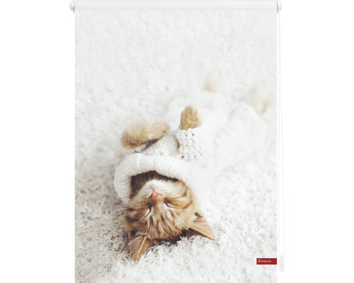 Store enrouleur avec motif de chaton endormi avec bonnet
