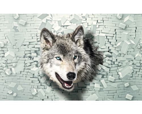 Tête de loup perçant un mur de briques
