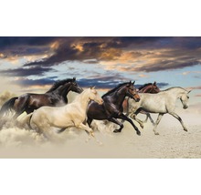 Groupe de chevaux galopant dans le sable