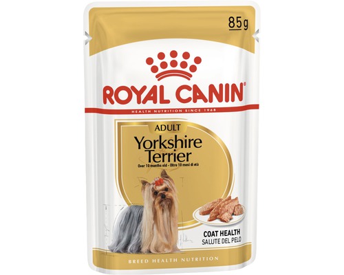 Royal Canin Adult Yorkshire Terrier aliments pour chiens, portion de 85 grammes