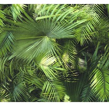 Nahaufnahme von grünen Palmenblättern