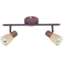 Plafonnier avec deux spots