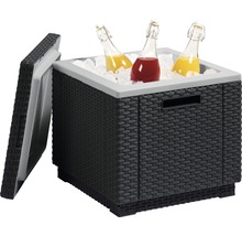 Gefüllte Kühlbox aus Rattan mit Deckel