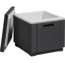 Geflochtener Kühlhocker mit abnehmbarem Deckel und Innenraum