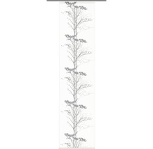Schiebegardine Asbach grau 60x245 cm