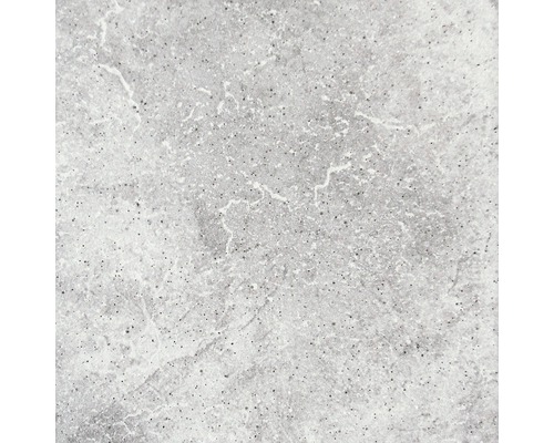 Carrelage de sol en grès cérame Capra gris clair 24,5x24,5 cm