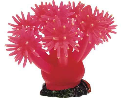 Dekoration Smiling Coral 9 cm pink