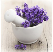 Glasbild Lovely Lavender III 50x50 cm GLA730