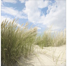 Glasbild Sommertag I 30x30 cm GLA759