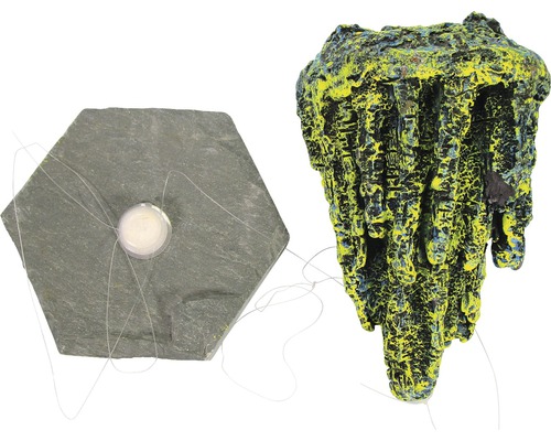 Aquarium Dekoration mit Schieferplatte und Höhle