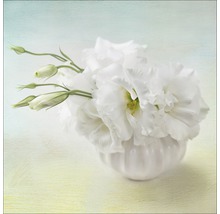 Fleurs blanches dans un vase