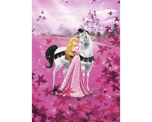 Papier peint panoramique papier 4-495 Disney Edition 4 La Belle au bois dormant 4 pces 184 x 254 cm
