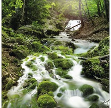 Scène de forêt avec ruisseau et pierres moussues