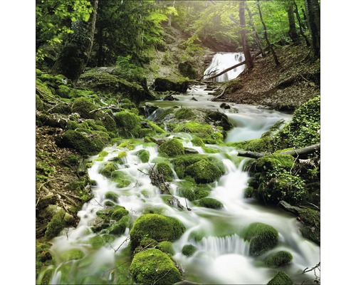 Scène de forêt avec ruisseau et pierres moussues