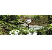 Un paysage forestier pittoresque avec une cascade et des pierres recouvertes de mousse.