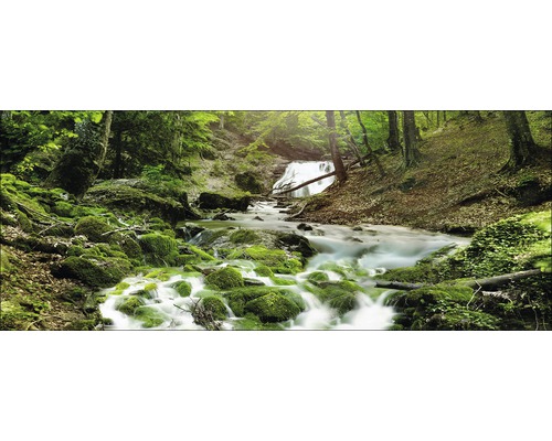 Un paysage forestier pittoresque avec une cascade et des pierres recouvertes de mousse.